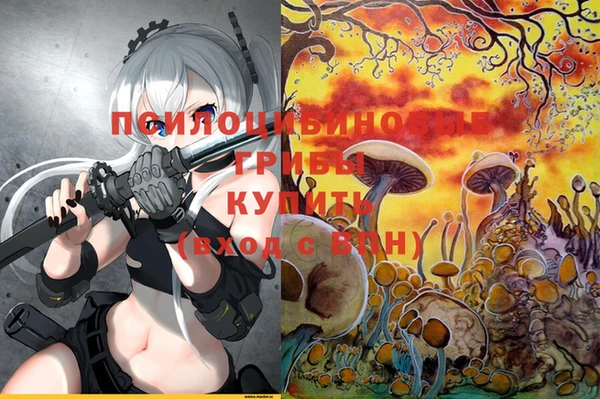 дживик Армянск