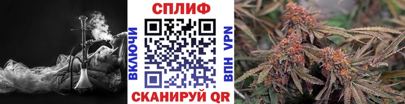mega ССЫЛКА  Белёв  Бошки Шишки ГИДРОПОН  купить  цена 